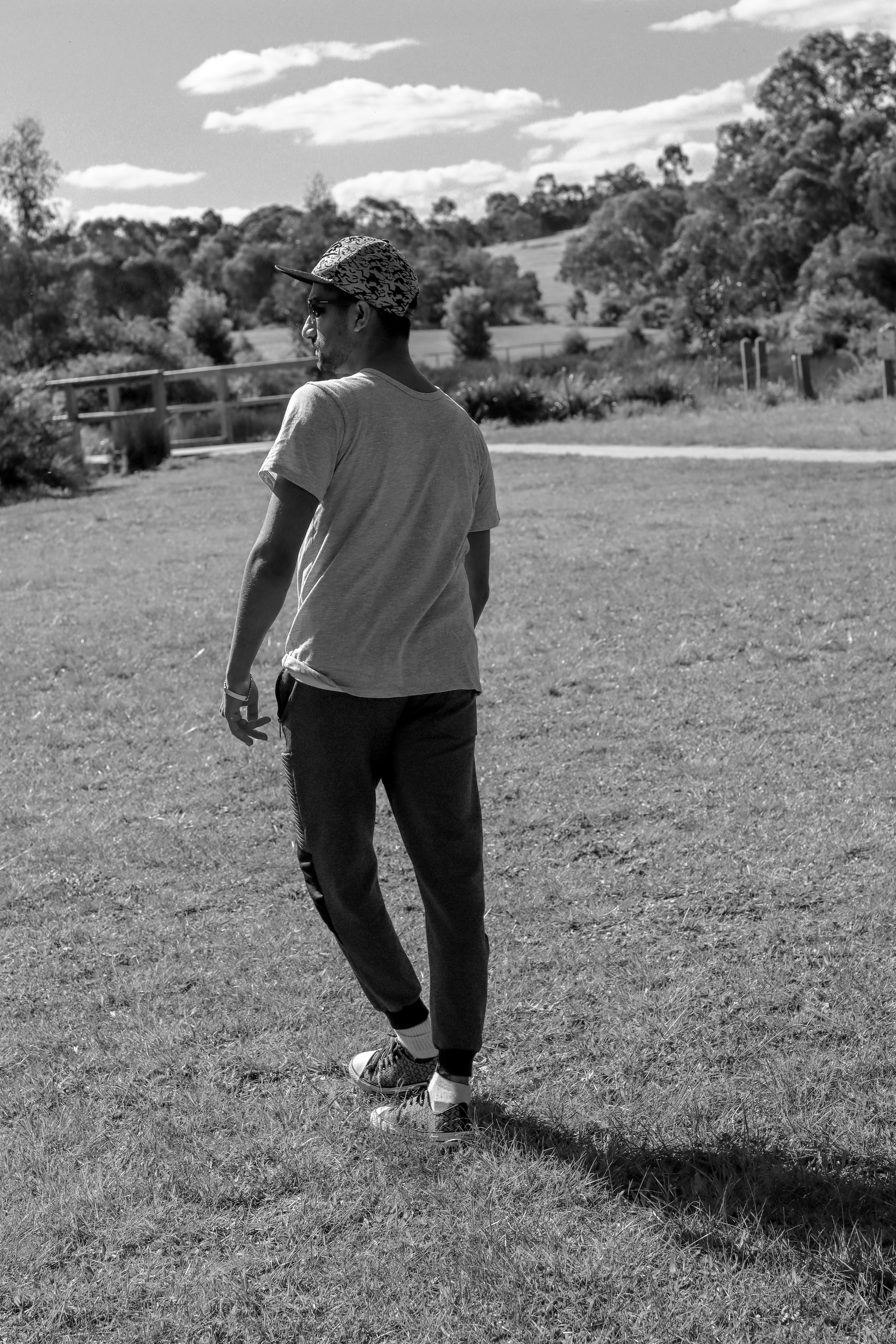 热门推荐 破晓与回声海报